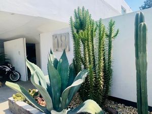 Vendo terreno de 800 Hectareas en Champantongo, Hidalgo