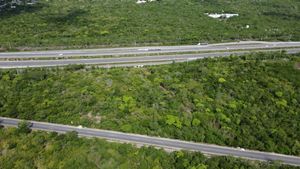 Venta /Renta: 10,000 m2 sobre Carretera a Progreso