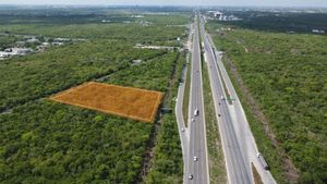 Venta /Renta: 10,000 m2 sobre Carretera a Progreso