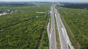 Venta /Renta: 10,000 m2 sobre Carretera a Progreso