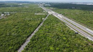 Venta /Renta: 10,000 m2 sobre Carretera a Progreso