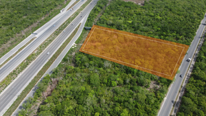 Venta /Renta: 10,000 m2 sobre Carretera a Progreso