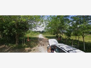 Finca/Rancho en Venta en Ceiba 1ra Sección (Jahuactal) Cunduacán