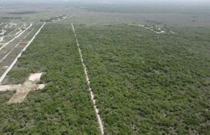 Vista aérea zona del proyecto