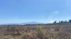 TERRENO  EN VENTA TALA, JALISCO