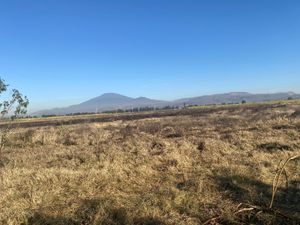 TERRENO  EN VENTA TALA, JALISCO