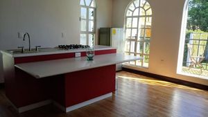 Departamento en Lomas de Chapultepec - Bungalo en Lomas de Virreyes