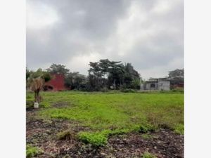 Terreno en Venta en Río Viejo 1a Sección Centro