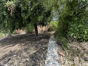 Terreno en venta en Morelos 3 de mayo