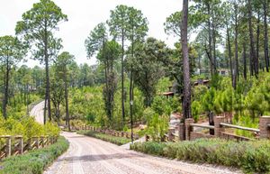 Terreno en TAPALPA