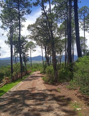 Terreno en TAPALPA