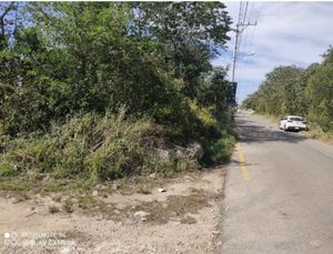 Magnífico Terreno en esquina en Conkal para inversionistas