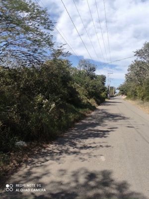 Magnífico Terreno en esquina en Conkal para inversionistas