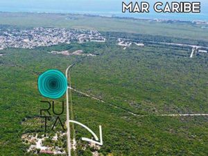 Terreno en Venta en Puerto Morelos Puerto Morelos