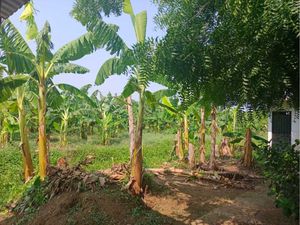 Finca/Rancho en Venta en Lazaro Cardenas Teapa