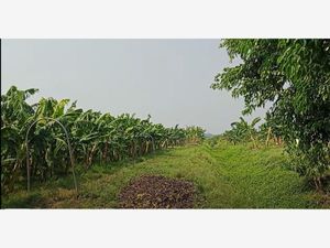 Finca/Rancho en Venta en Lazaro Cardenas Teapa