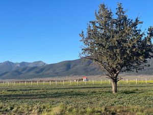 Terreno en Venta en San Antonio de las Alazanas Arteaga