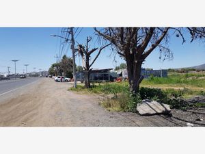 Terreno en Renta en San Nicolás la Redonda Tecámac