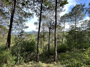 Terreno en Venta en Lomas de Chiapas, San Cristóbal