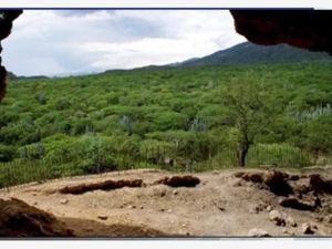 Terreno en Venta en Tehuacan Tehuacán