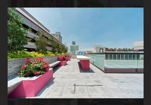 Roof garden