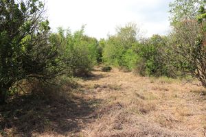 Venta de Terreno en Cieneguilla, Montemorelos