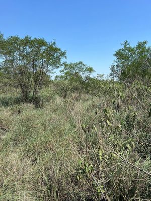 TERRENO EN VENTA EN GUADALUPE