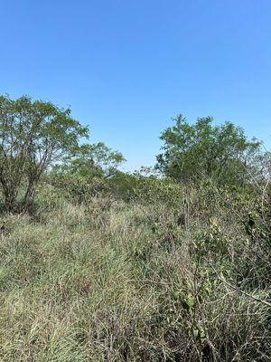 TERRENO EN VENTA EN GUADALUPE