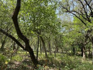 RANCHO EN VENTA LOS RAMONES