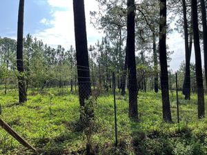 Terreno en venta, Los Espinos, Tapalpa, Jalisco