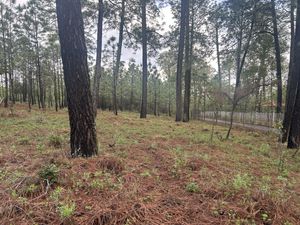 Terreno en venta, Los Espinos, Tapalpa, Jalisco