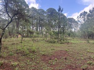 Terreno en venta, Los Espinos, Tapalpa, Jalisco