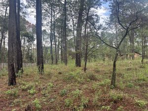 Terreno en venta, Los Espinos, Tapalpa, Jalisco