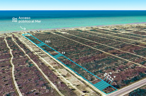 Venta de lotes en Km 11.5 Chicxulub Puerto