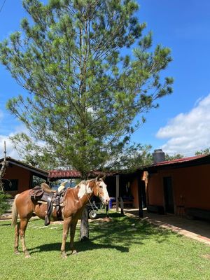 HERMOSA QUINTA_EN VENTA_SAN FERNANDO, CHIAPAS