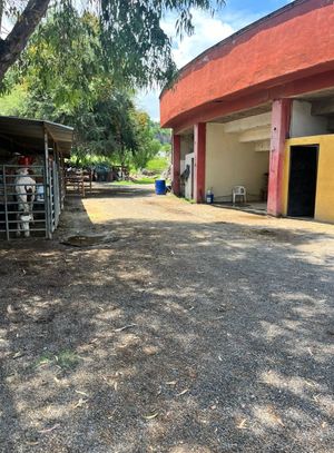 TERRENOS EN VENTA EL PUEBLITO