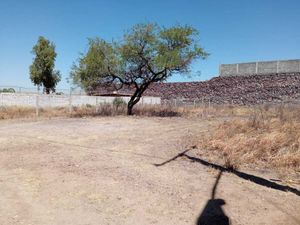 Terreno en venta en Granjas Económicas