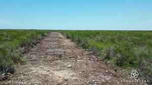 Terreno en venta en Aldea Sisal Yucatán