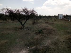 Terreno campestre en venta cerca de Lagos de Moreno, Jalisco