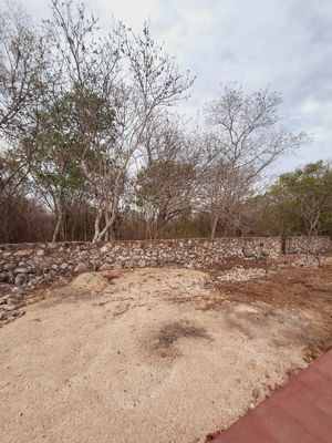 EN VENTA | TERRENO EN YAXKUKUL - CONKAL | MÉRIDA YUCATÁN