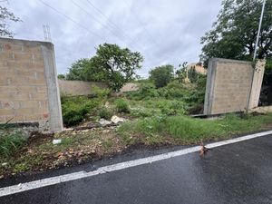 TERRENO EN PINOS NORTE