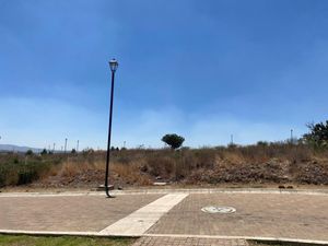 TERRENO EN VENTA, VISTA CAÑADA, CUEVAS, GUANAJUATO