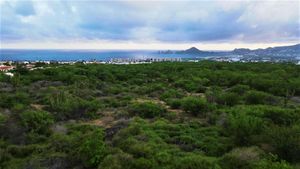 10 HECTAREAS EL TEZAL CABO SAN LUCAS