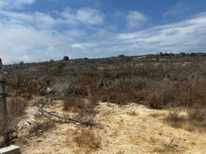 TERRENO ARIADNA LAS FLORES TODOS SANTOS