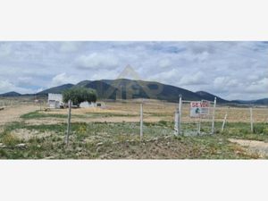 Terreno en Venta en San Antonio de las Alazanas Arteaga