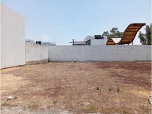 Terreno en Venta en San Francisco Huatengo Tulancingo de Bravo