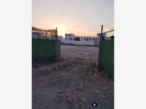 Terreno en Renta en Santa Rosa Apodaca