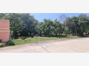 Terreno en Venta en Jardines de la Silla (Jardines) Juárez