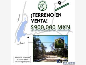 Terreno en Venta en La Lobita Juárez