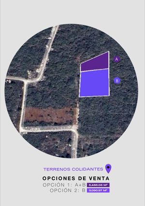 LOTES EN VENTA EN TIXCUYTUN, IDEAL PARA INVERSIONISTAS